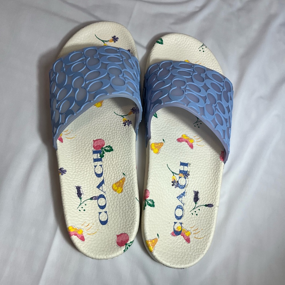 COACH Slides